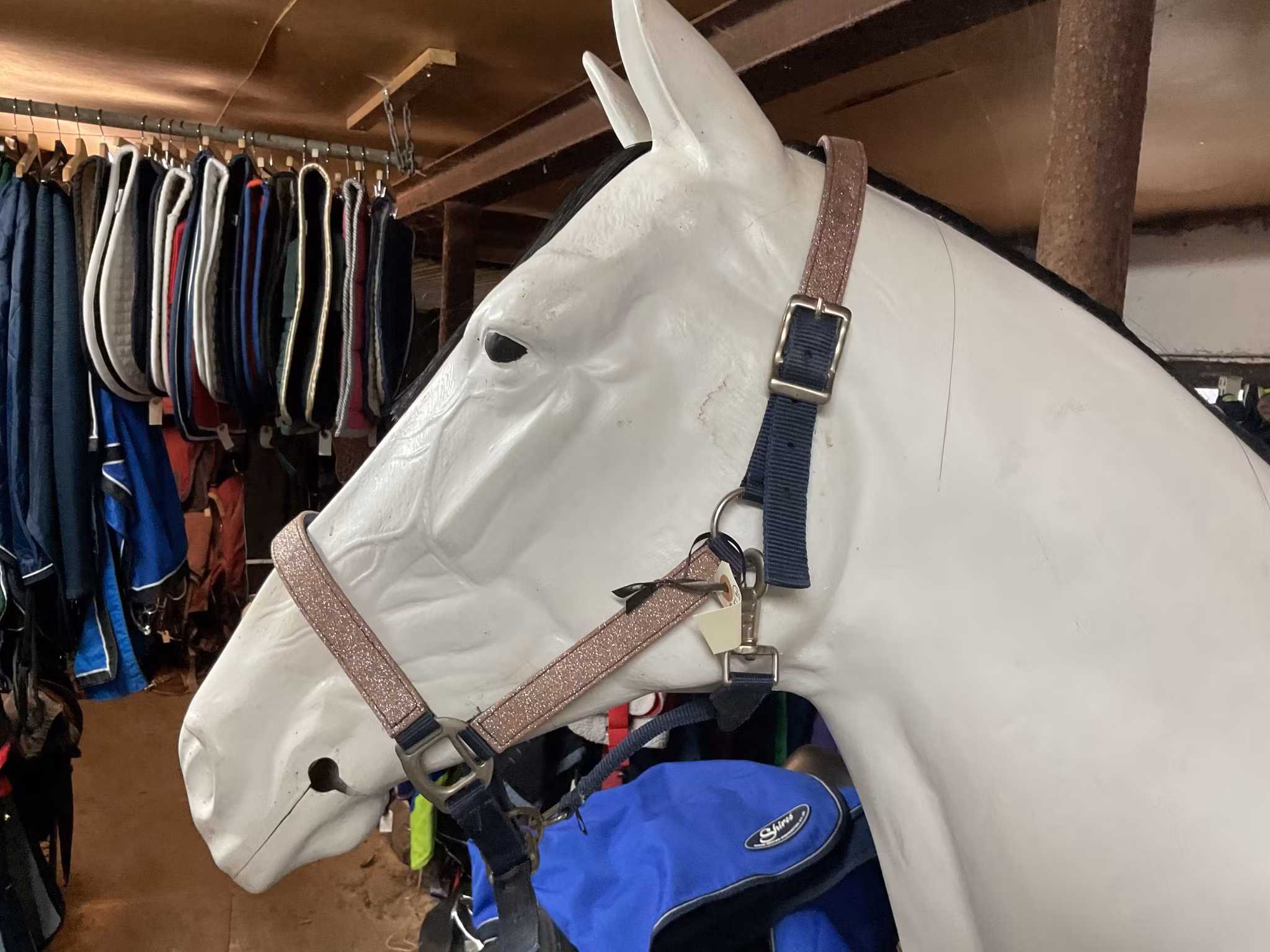 Grimma,blå med rosa glitter,f