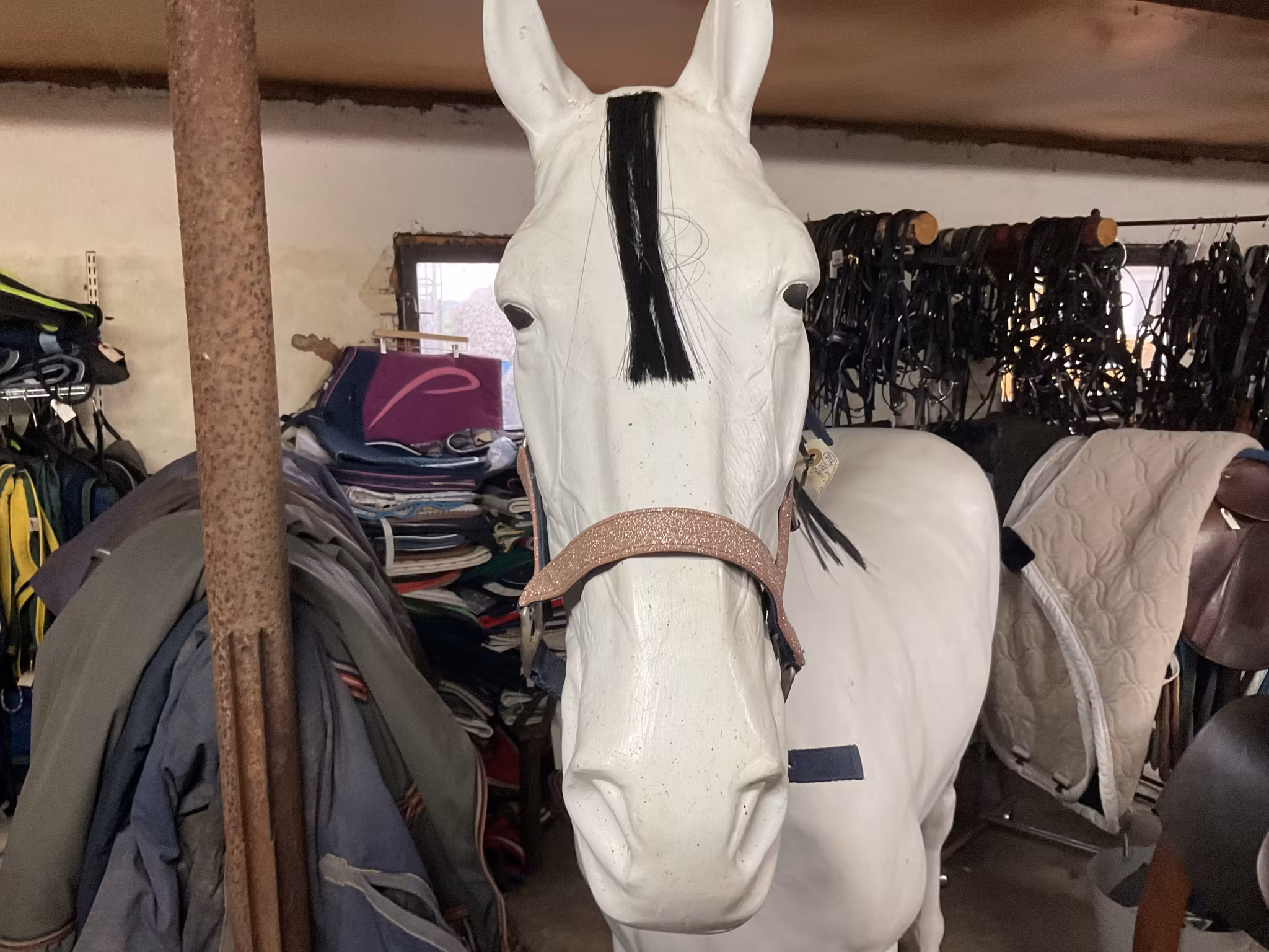 Grimma,blå med rosa glitter,f