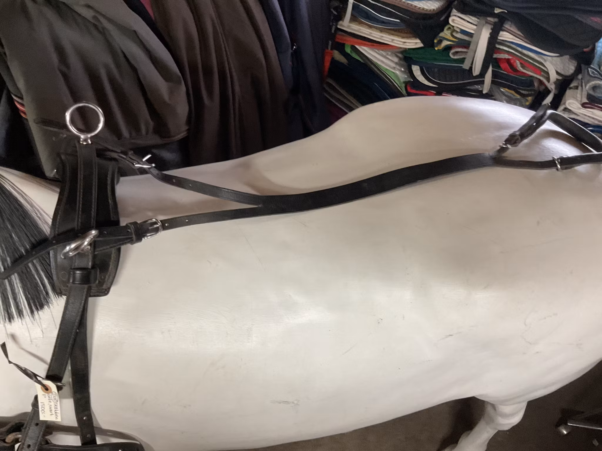 Stubben sele,svart,p