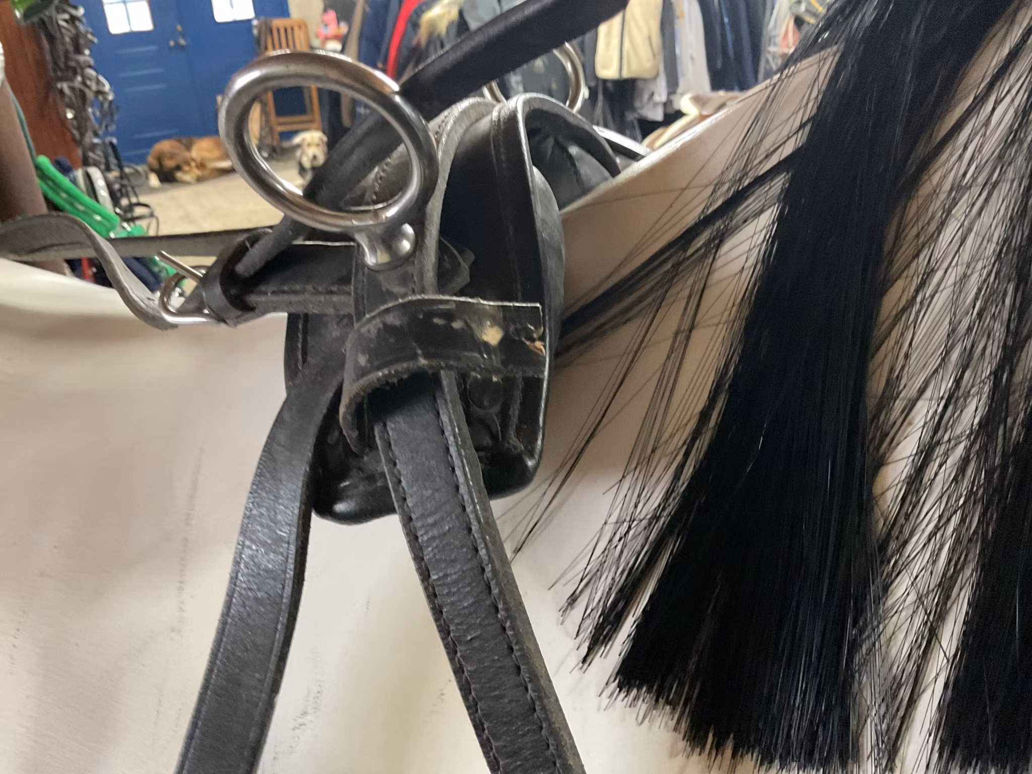 Stubben sele,svart,p