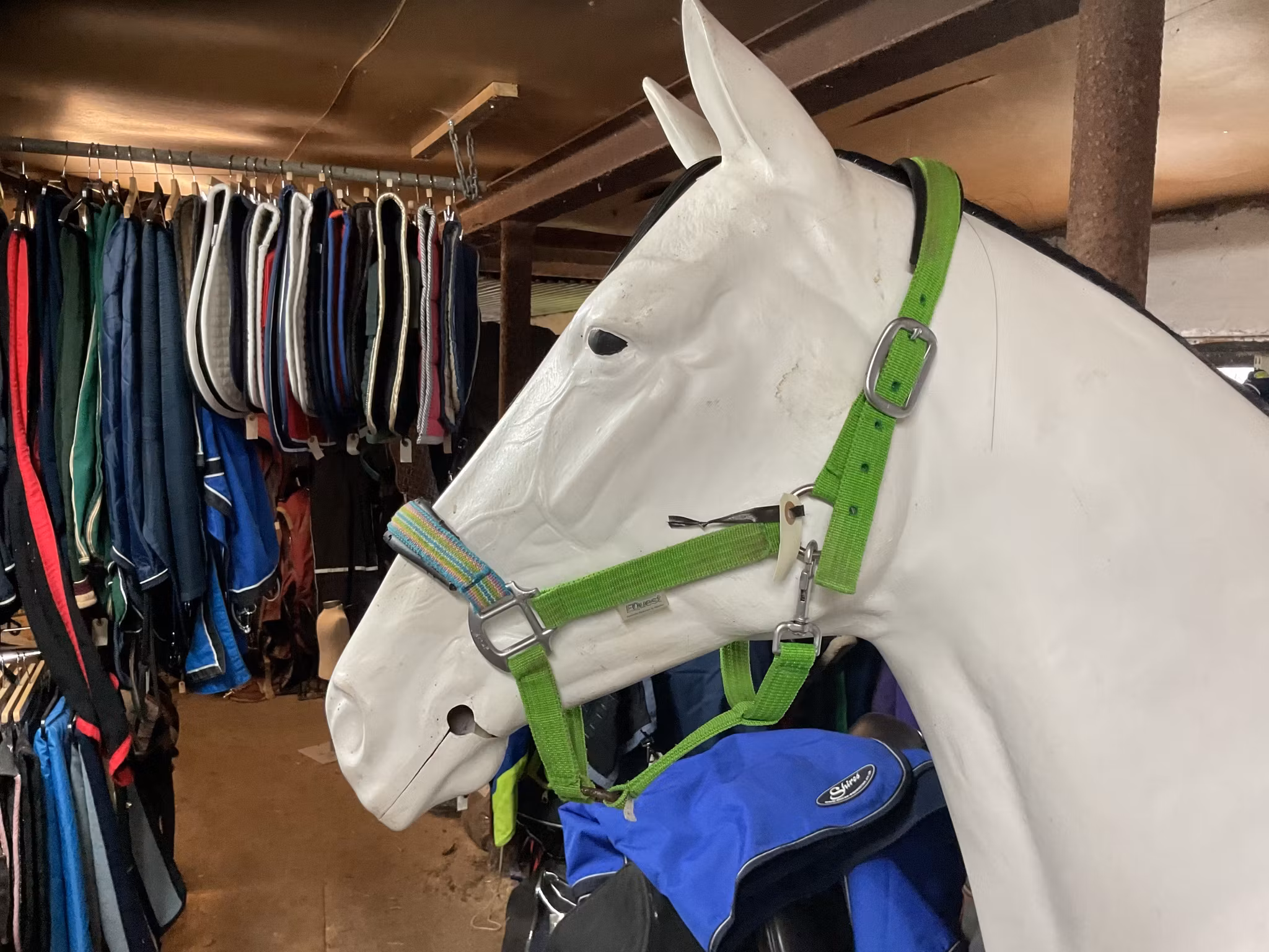 Equest grimma,grön ,L,lite sliten fram