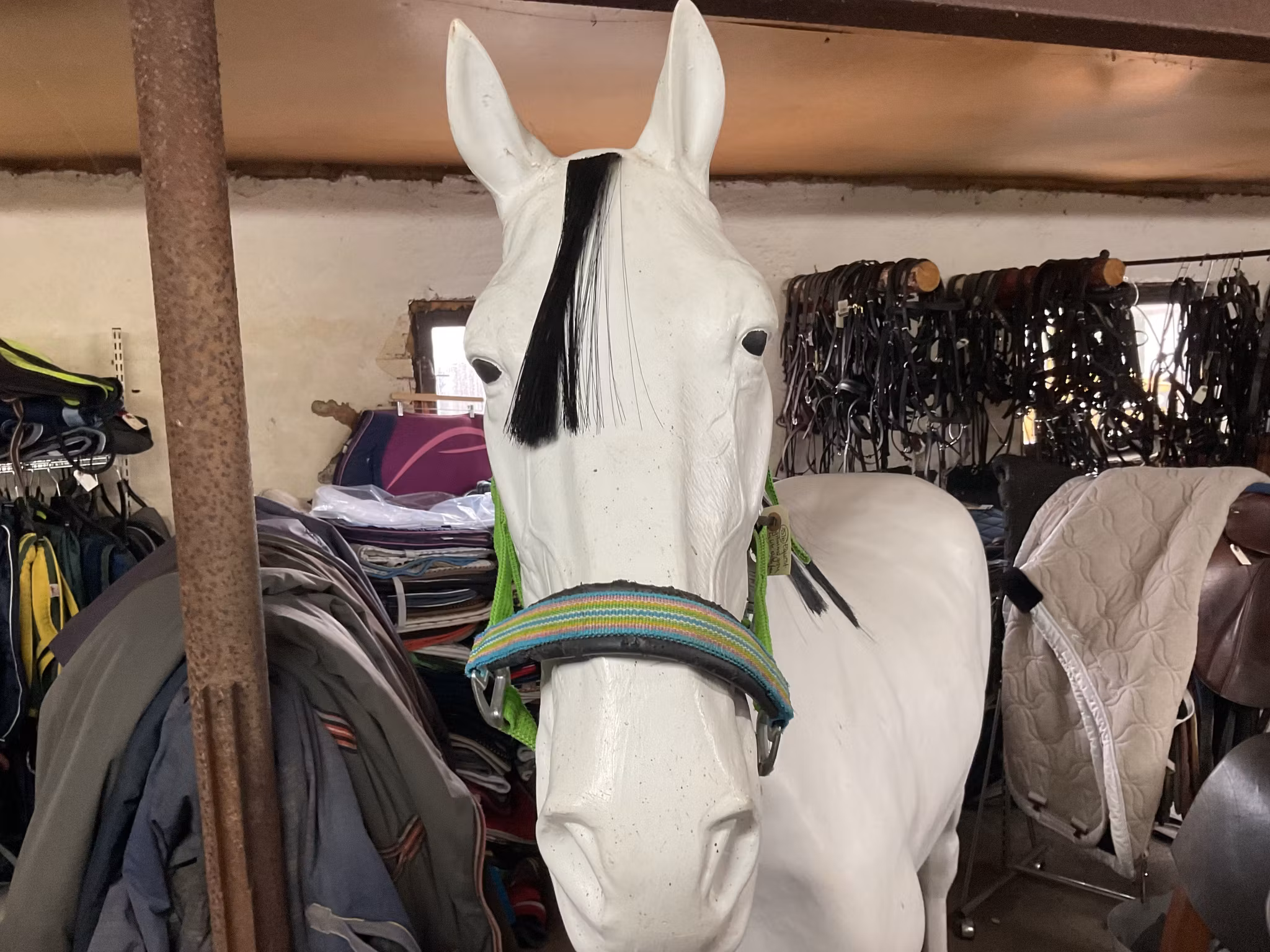 Equest grimma,grön ,L,lite sliten fram