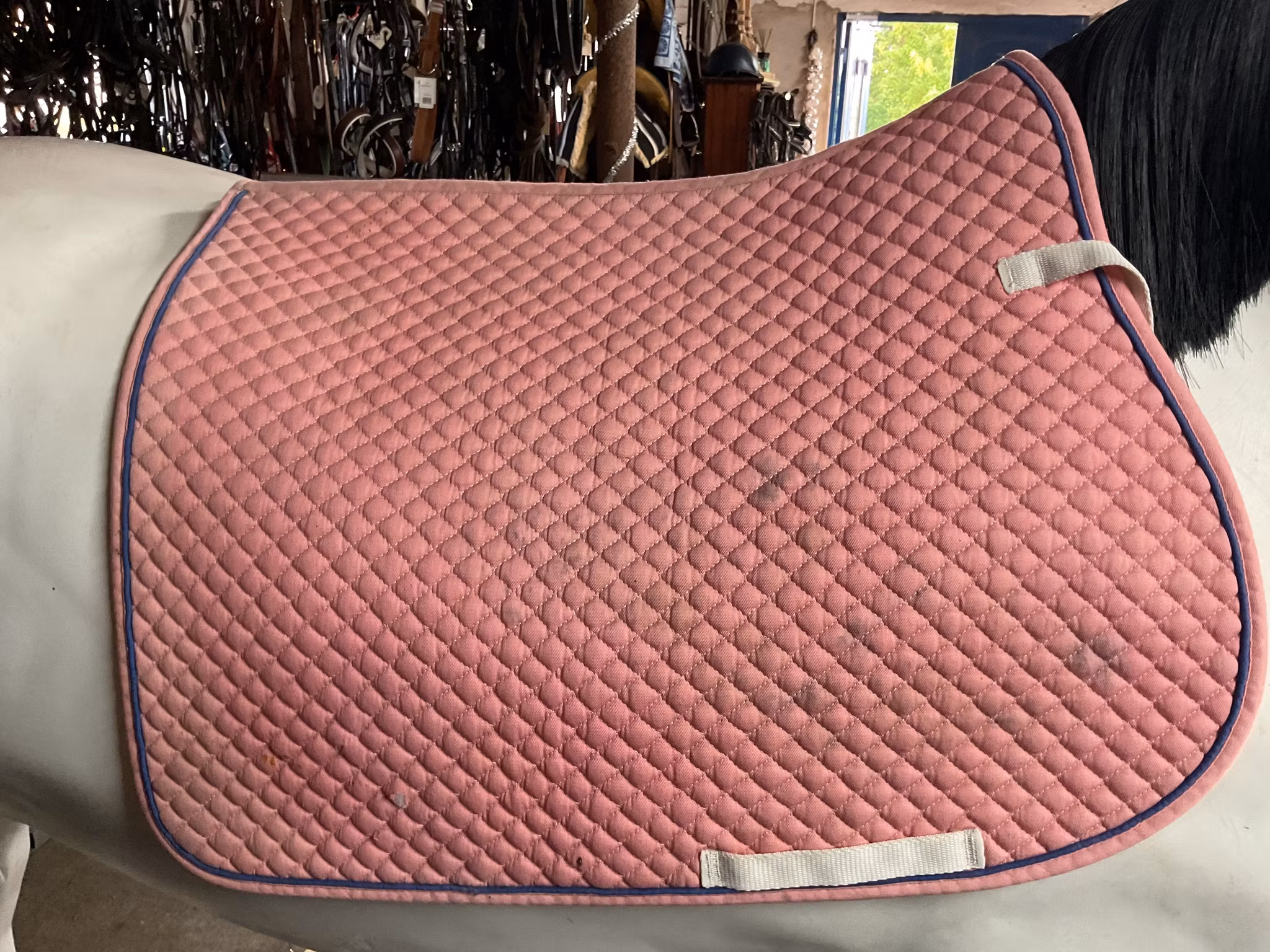 Globus schabrak,rosa,f