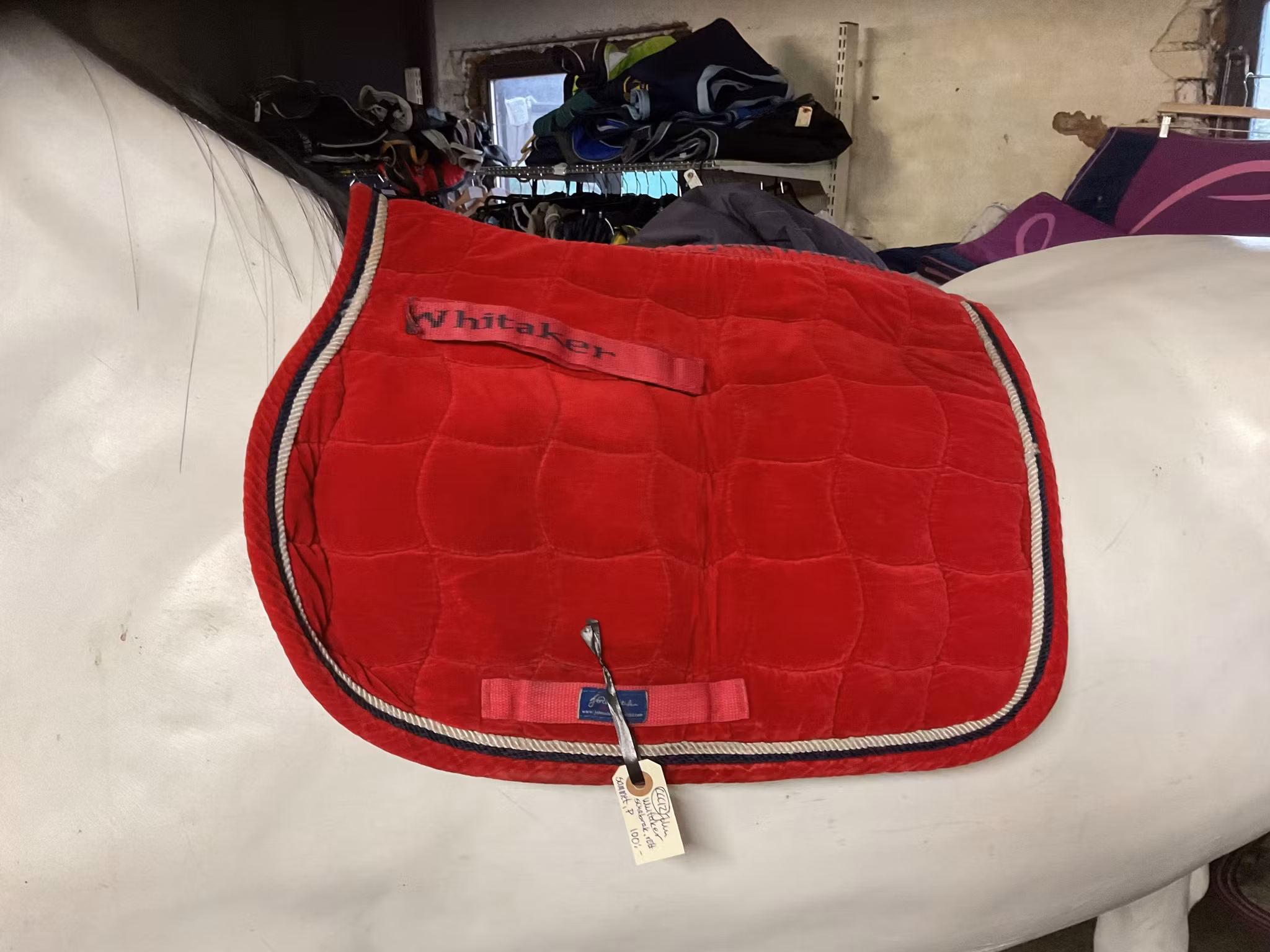 Johm whitaker schabrak, rött, sammet,p