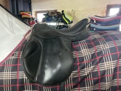 Griffin svart sadel, 17,5”, normal mot vid