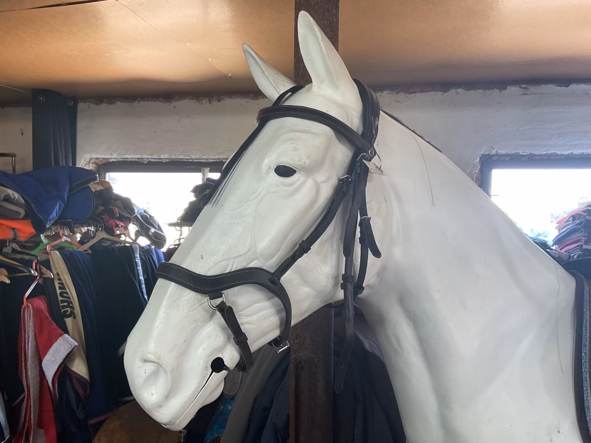 Fairfield träns,svart,f