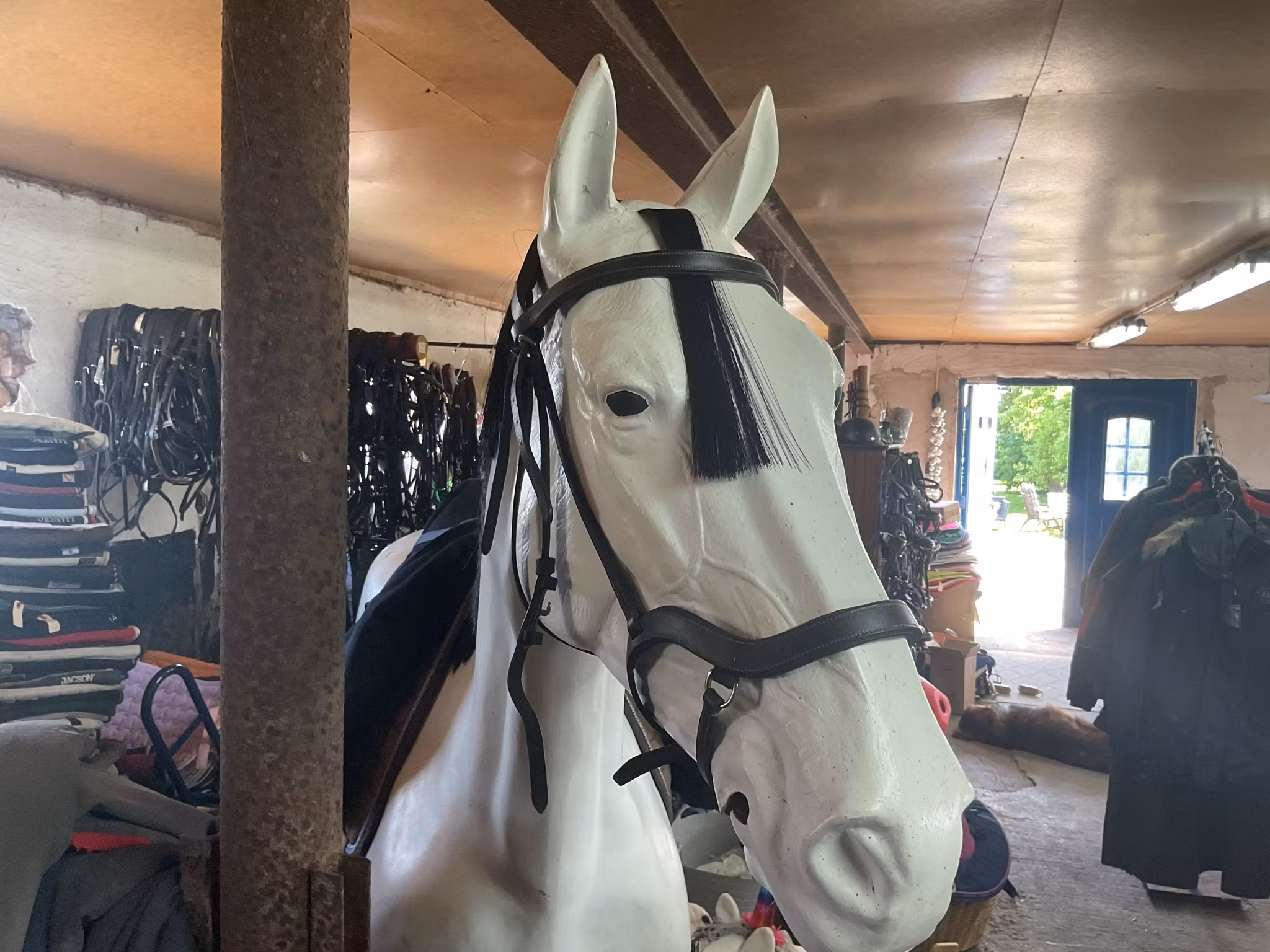 Fairfield träns,svart,f