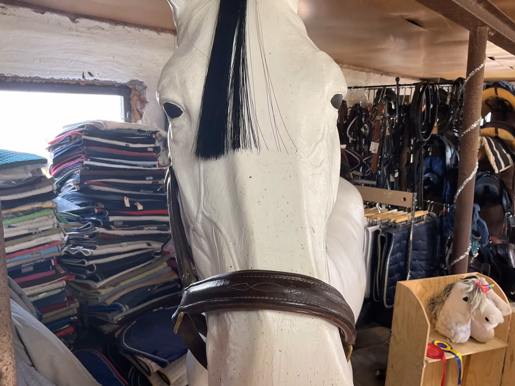 Lädergrimma, mörkbrun,f