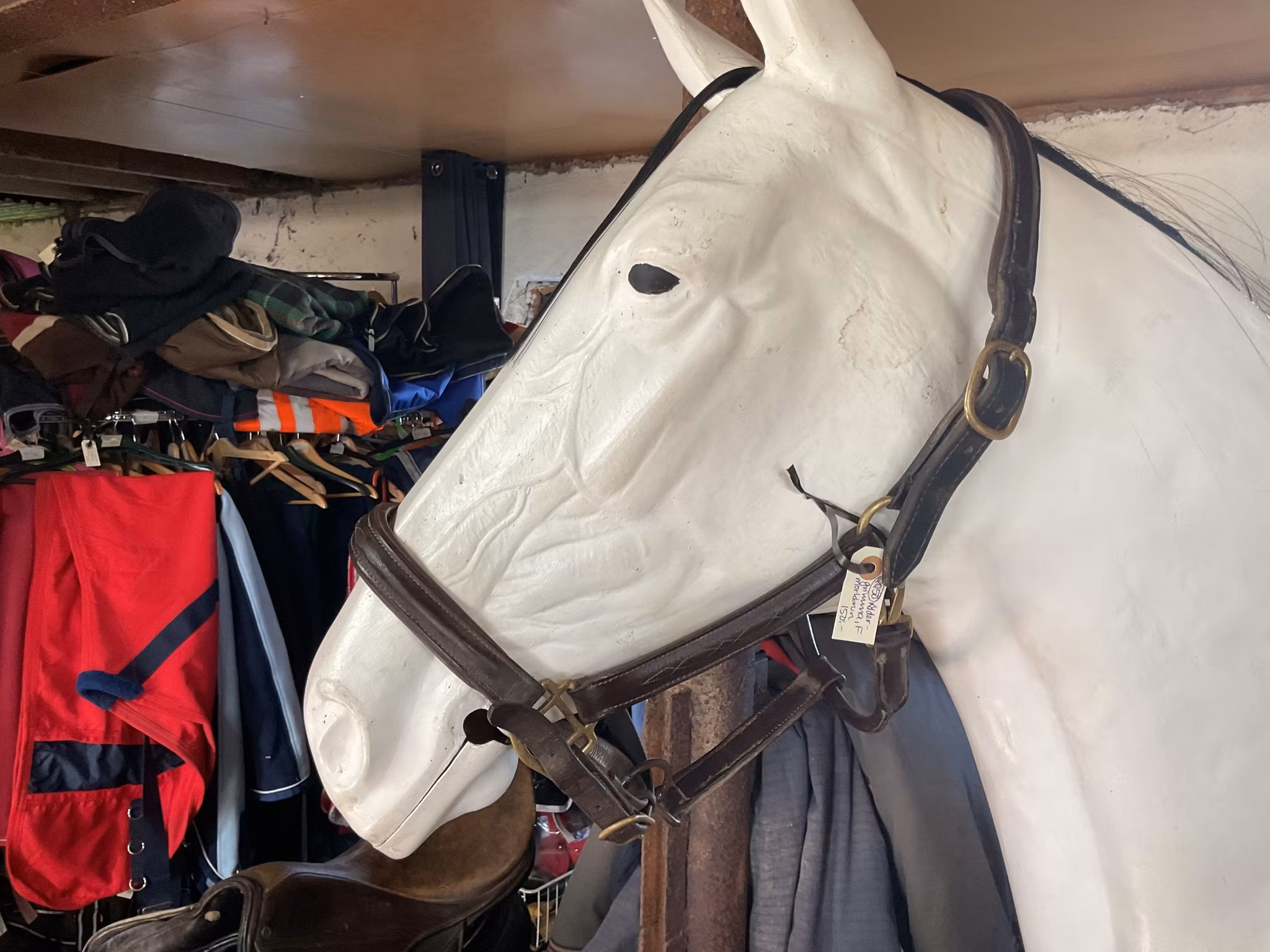 Lädergrimma, mörkbrun,f