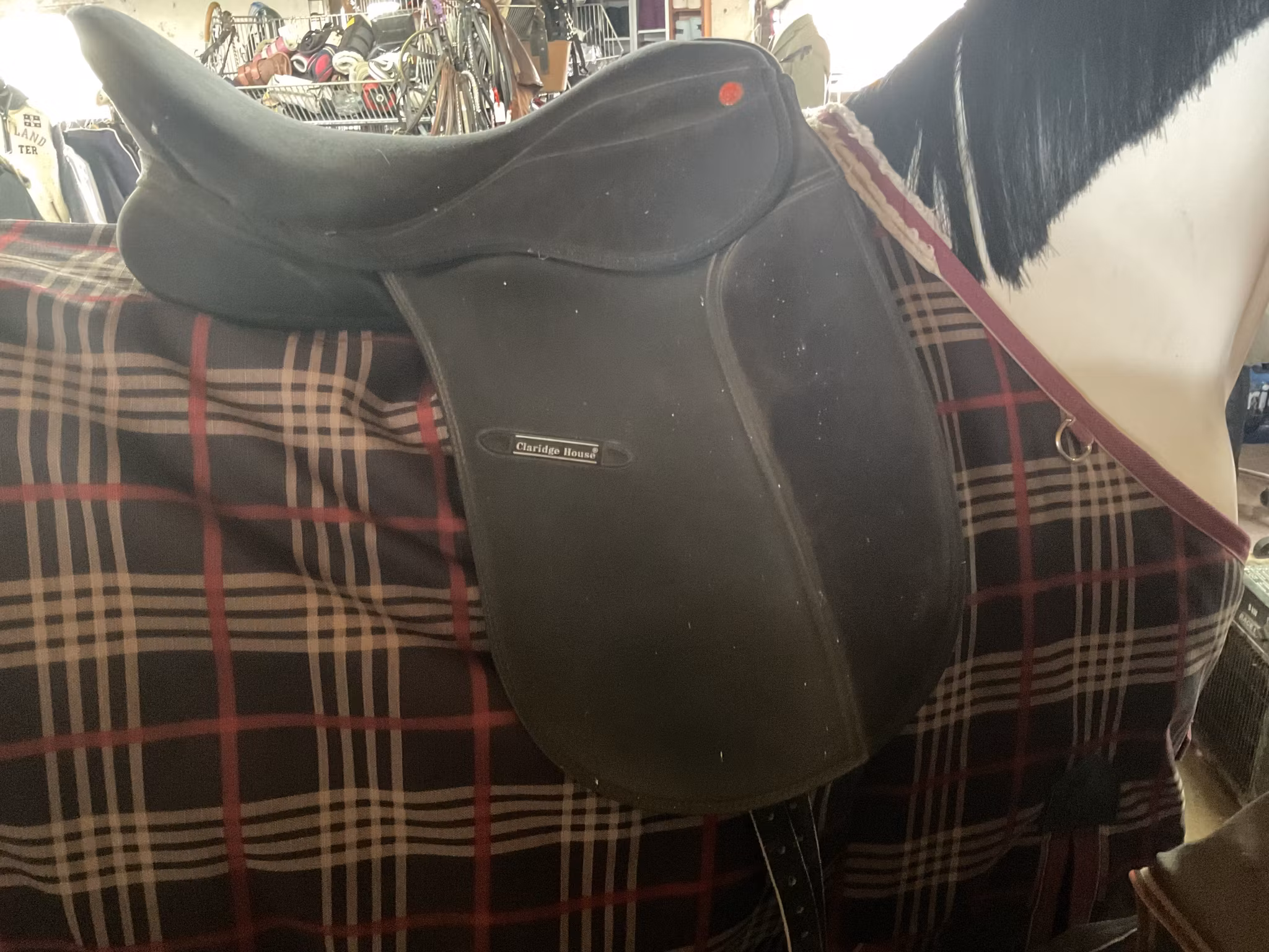 Clarisge house,dressyrsadel, 17,5”, svart, 31 bom, släppt en söm