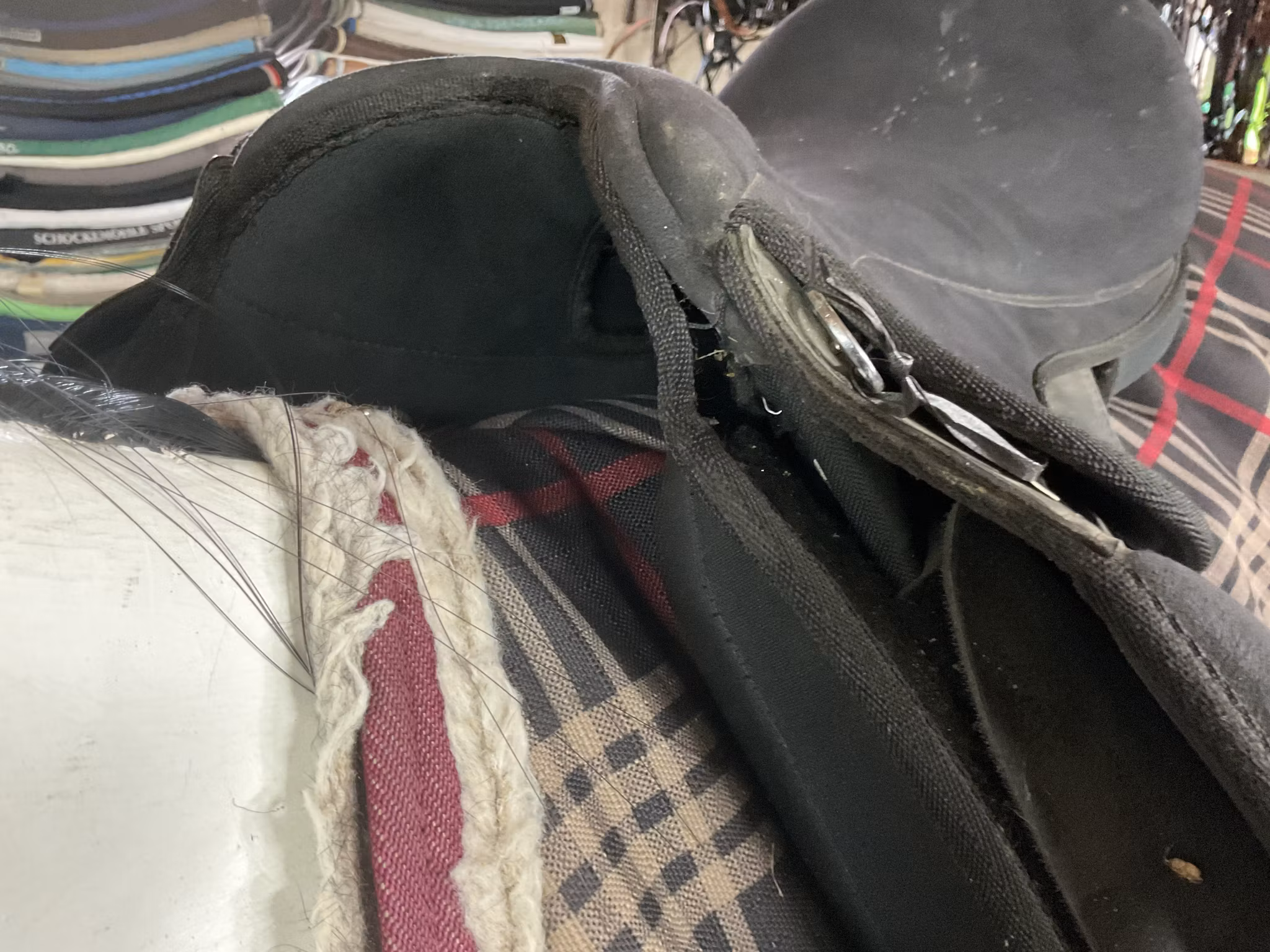 Clarisge house,dressyrsadel, 17,5”, svart, 31 bom, släppt en söm