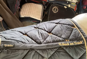 Back on track schabrak, svart med guld,h, stl f