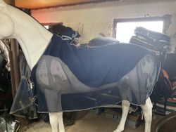 Svettäcke fleece/nät, 145 cm
