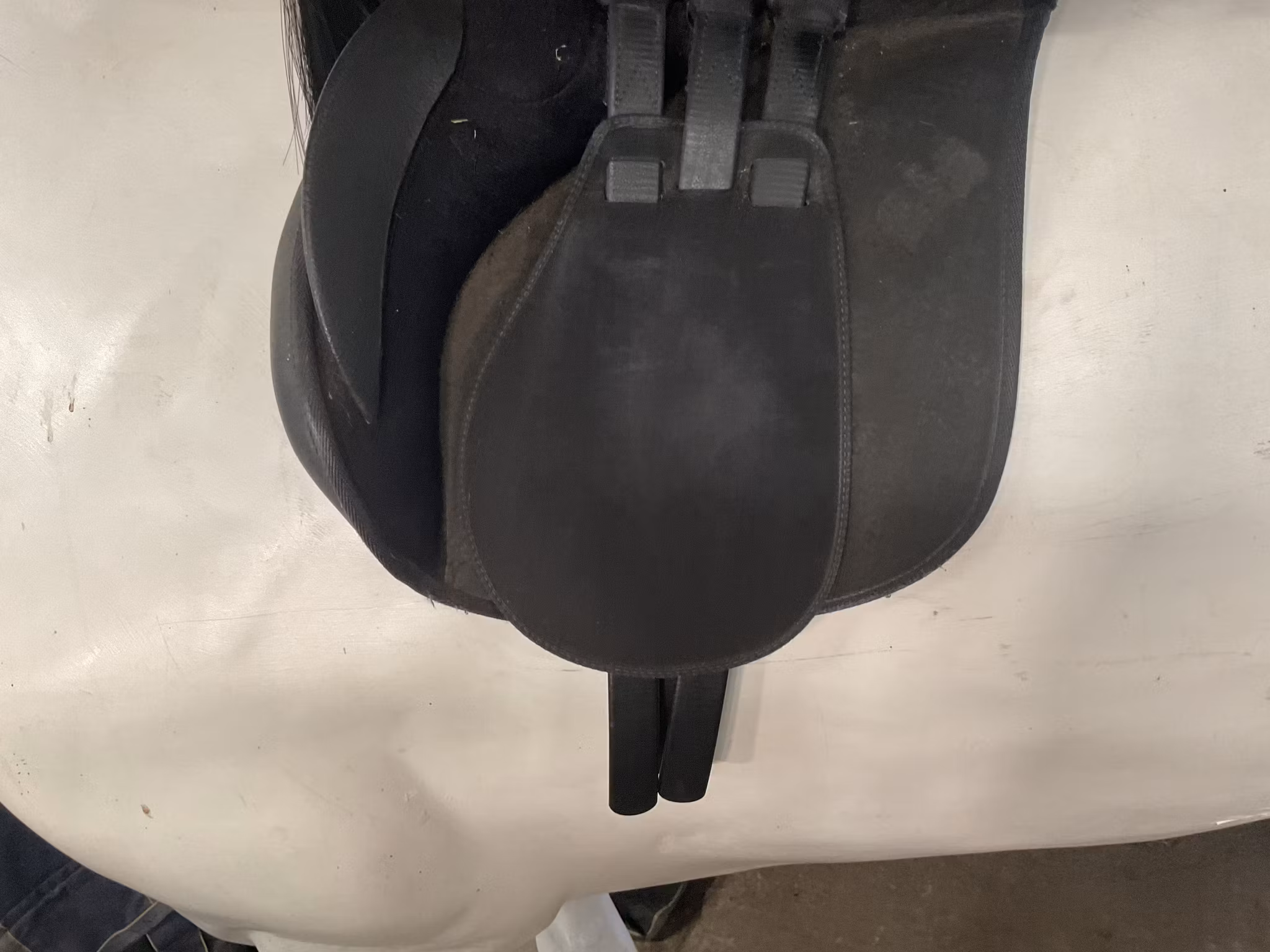 Wintec hopp/ar sadel,svart,blått järn sitter i, 17”