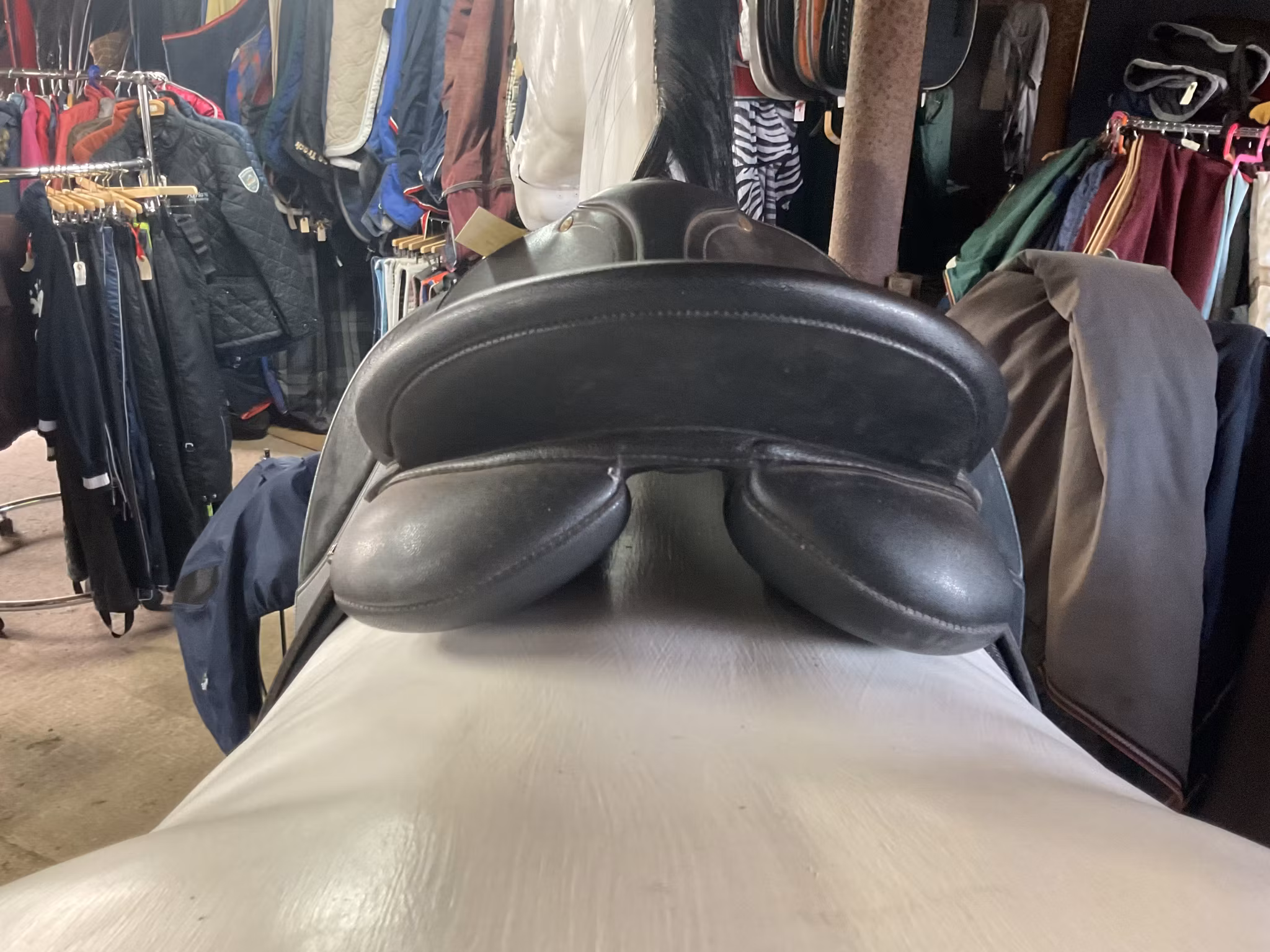 Wintec hopp/ar sadel,svart,blått järn sitter i, 17”