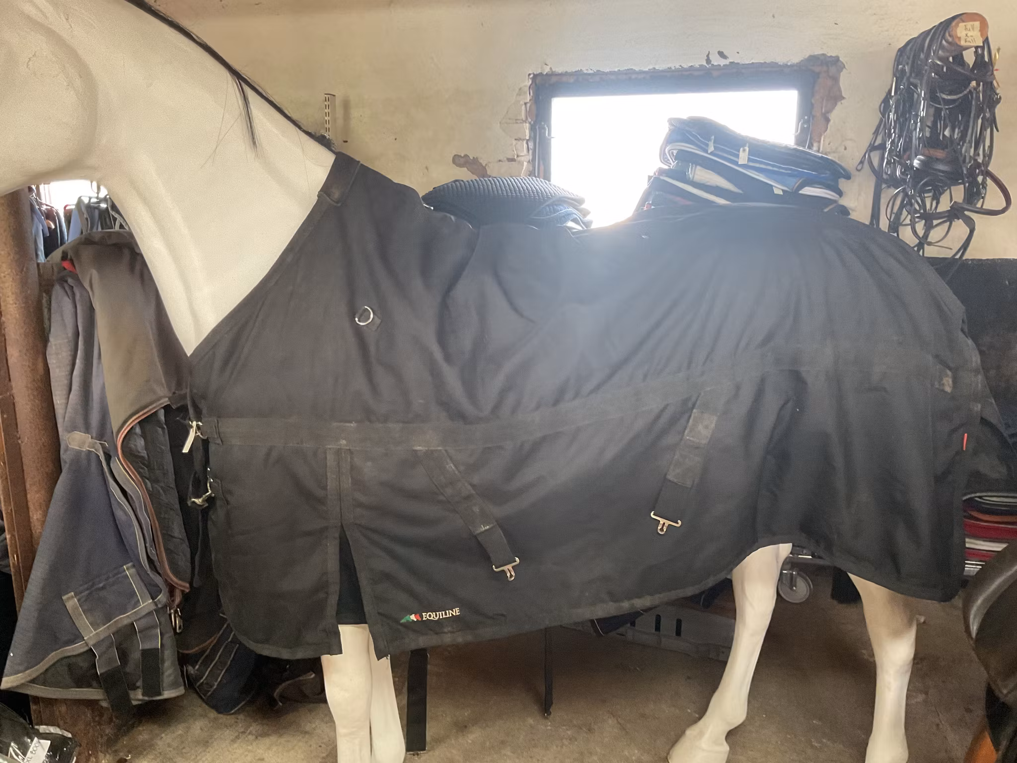 Equiline turnout rug ,täcke, svart,stl m, ca 100 gr