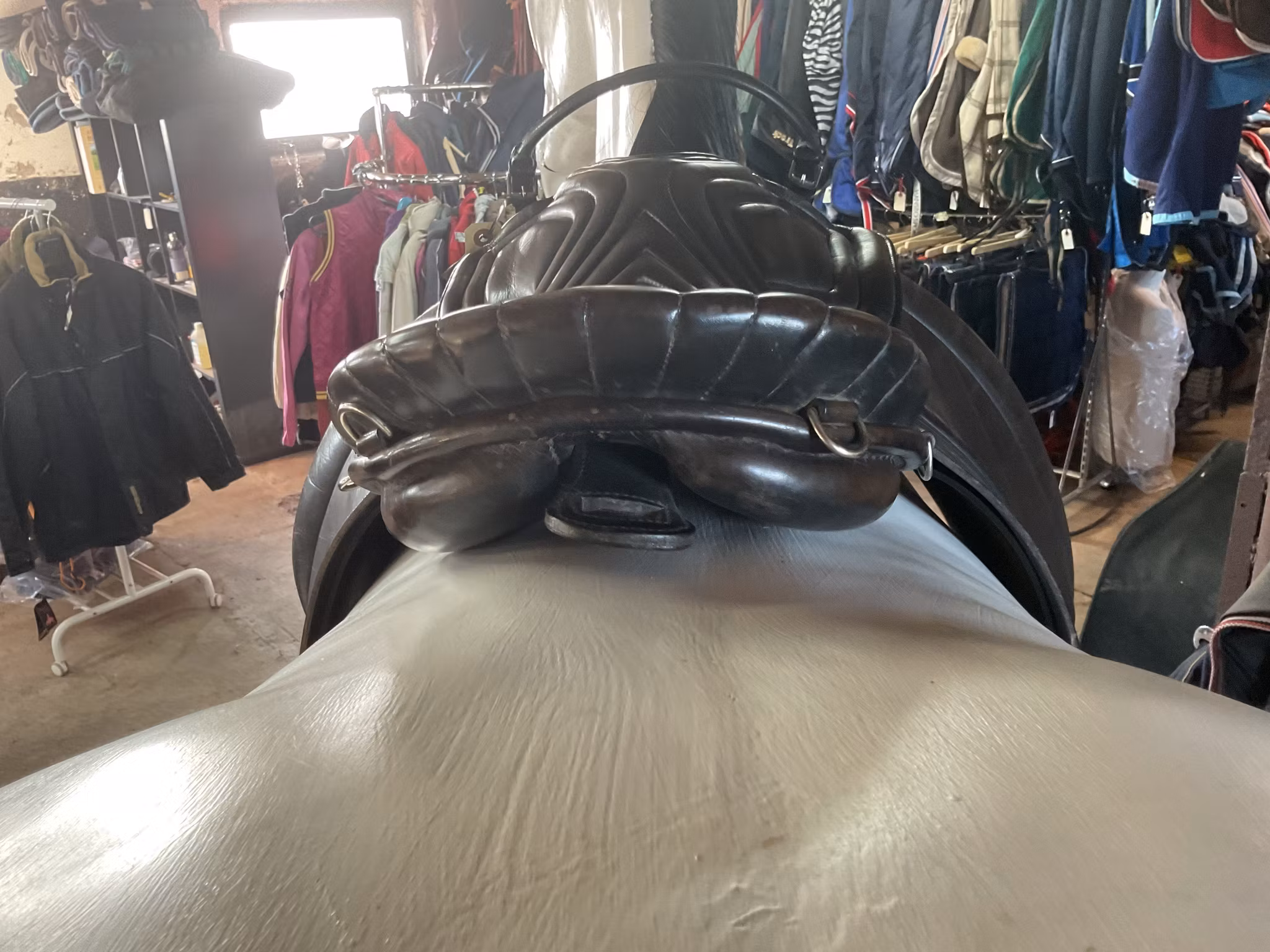 Zaldi,sadel,brun/svart,18”, bom 29
