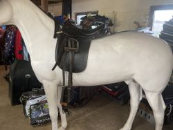 Stubben sadel,island,XW, svart, 16,5-17”,bennis harmony elegant rs,inkl stigläder,stigbyglar,35 cm sadelgjord