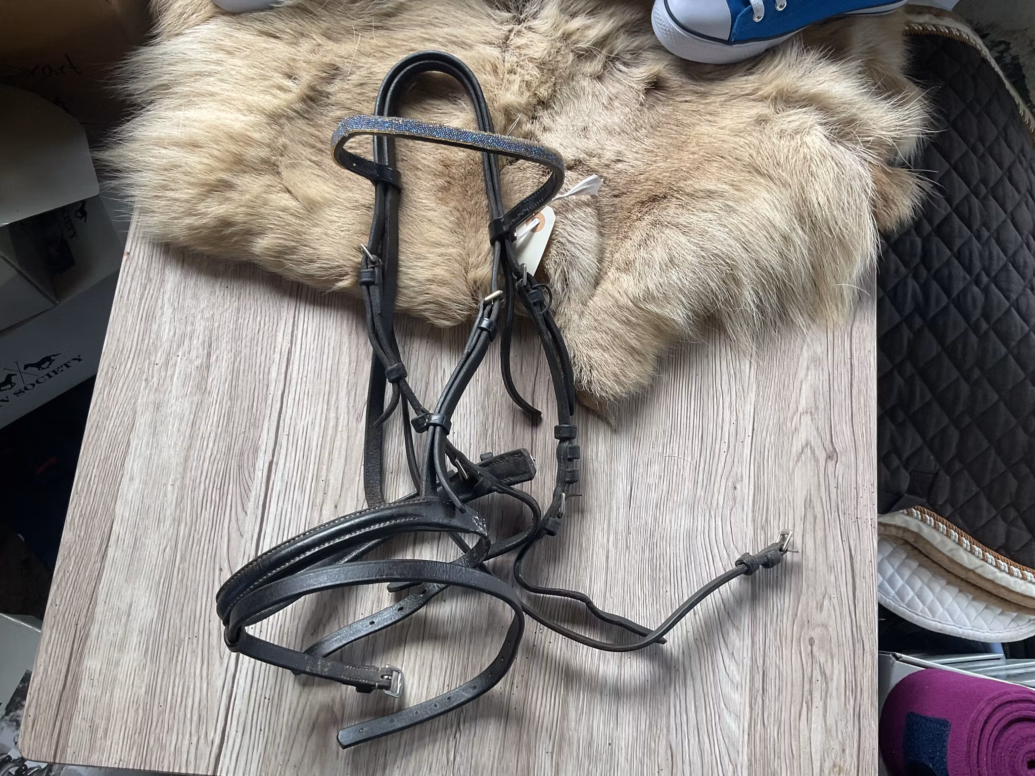 Träns,svart,p