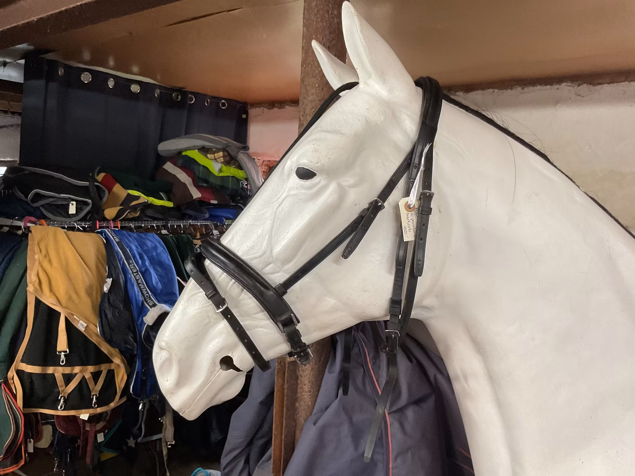 Träns ej pannband,svart,cob