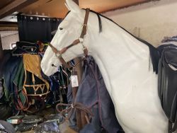 Grimma rep med repgrimskaft,brun,p,ny