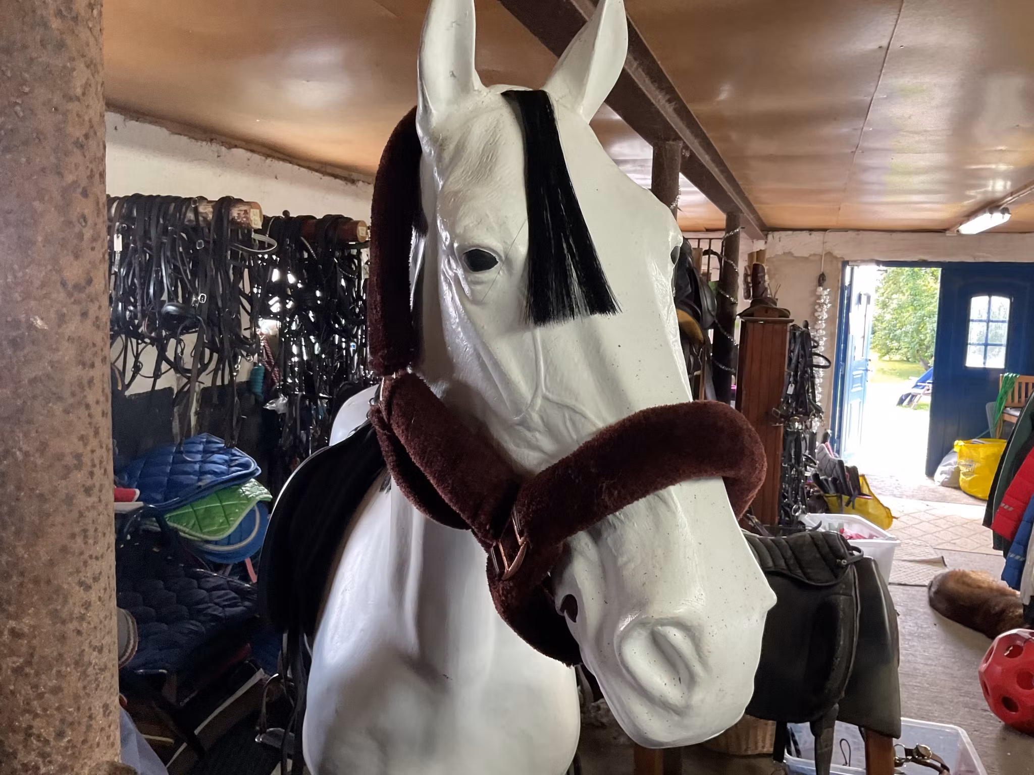 Grimma ludd,brun,f,ny