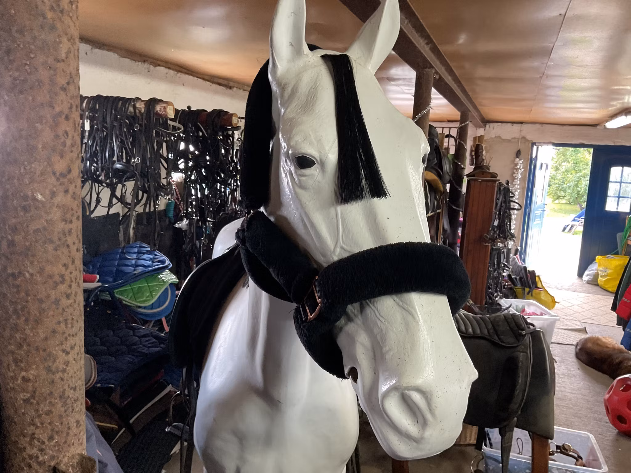 Grimma ludd,svart,f,ny