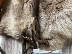 Lädergromma,brun,cob