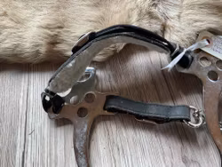 Hackamore,cob/f,svart,skänklar,18 cm