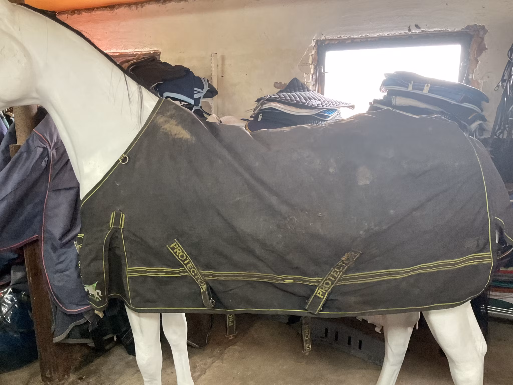 Protector regntäcke,0 gr,125 cm, svart, otvättat