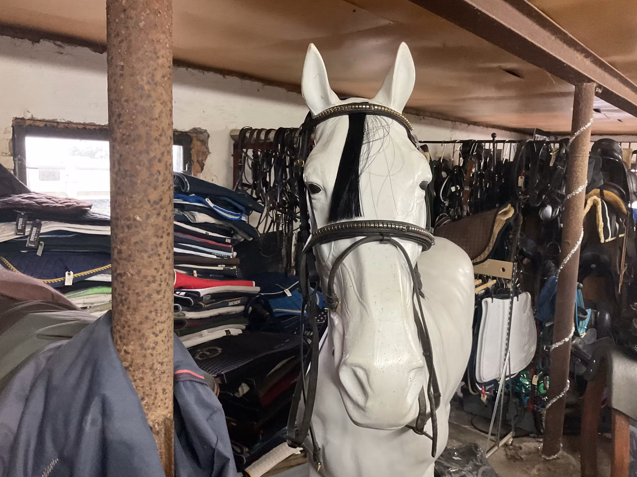 Träns svart,inkl gummityglar,P,trasigt pannband,trasig nosgrimma