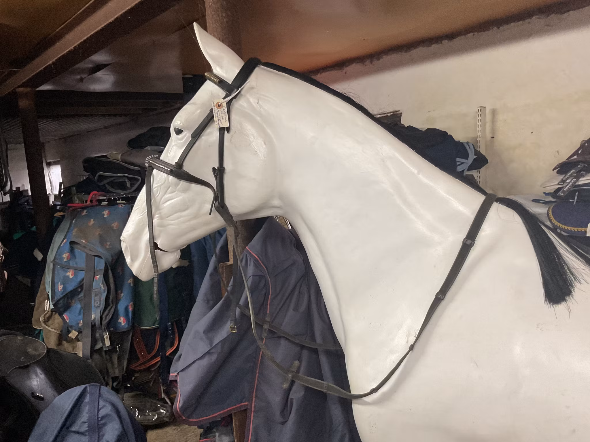 Träns svart,inkl gummityglar,P,trasigt pannband,trasig nosgrimma