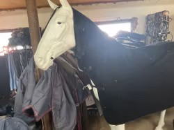 Fleecetäcke med fast hals,svart,125 cm