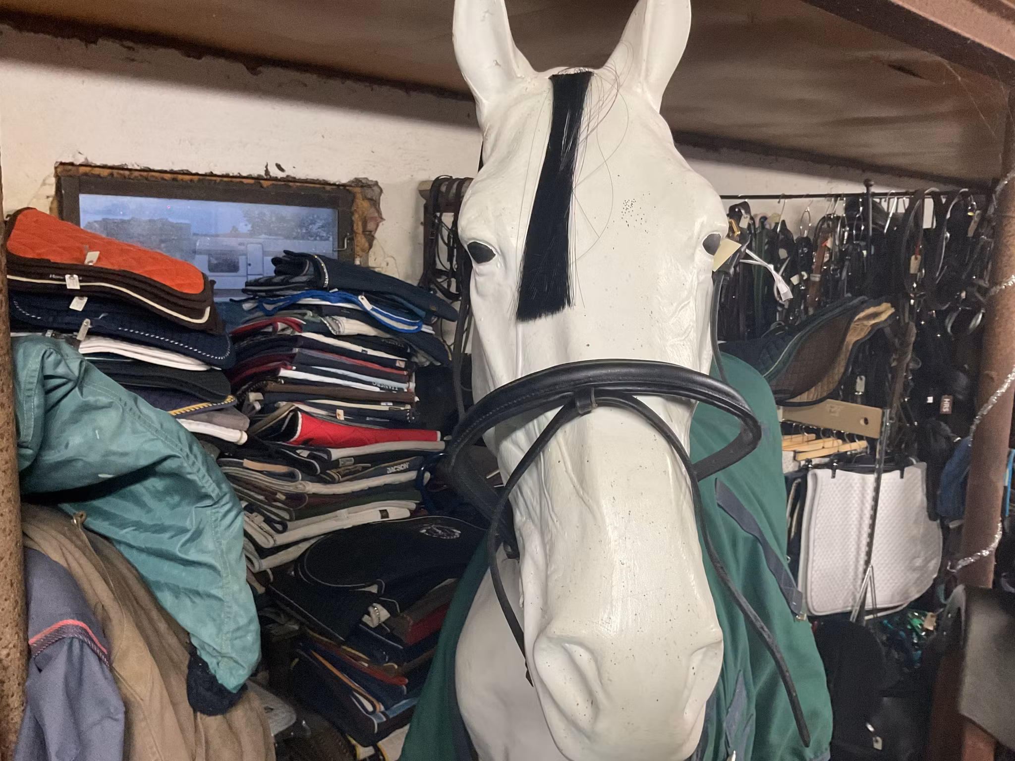 Nosgrimma,svart,p,ny