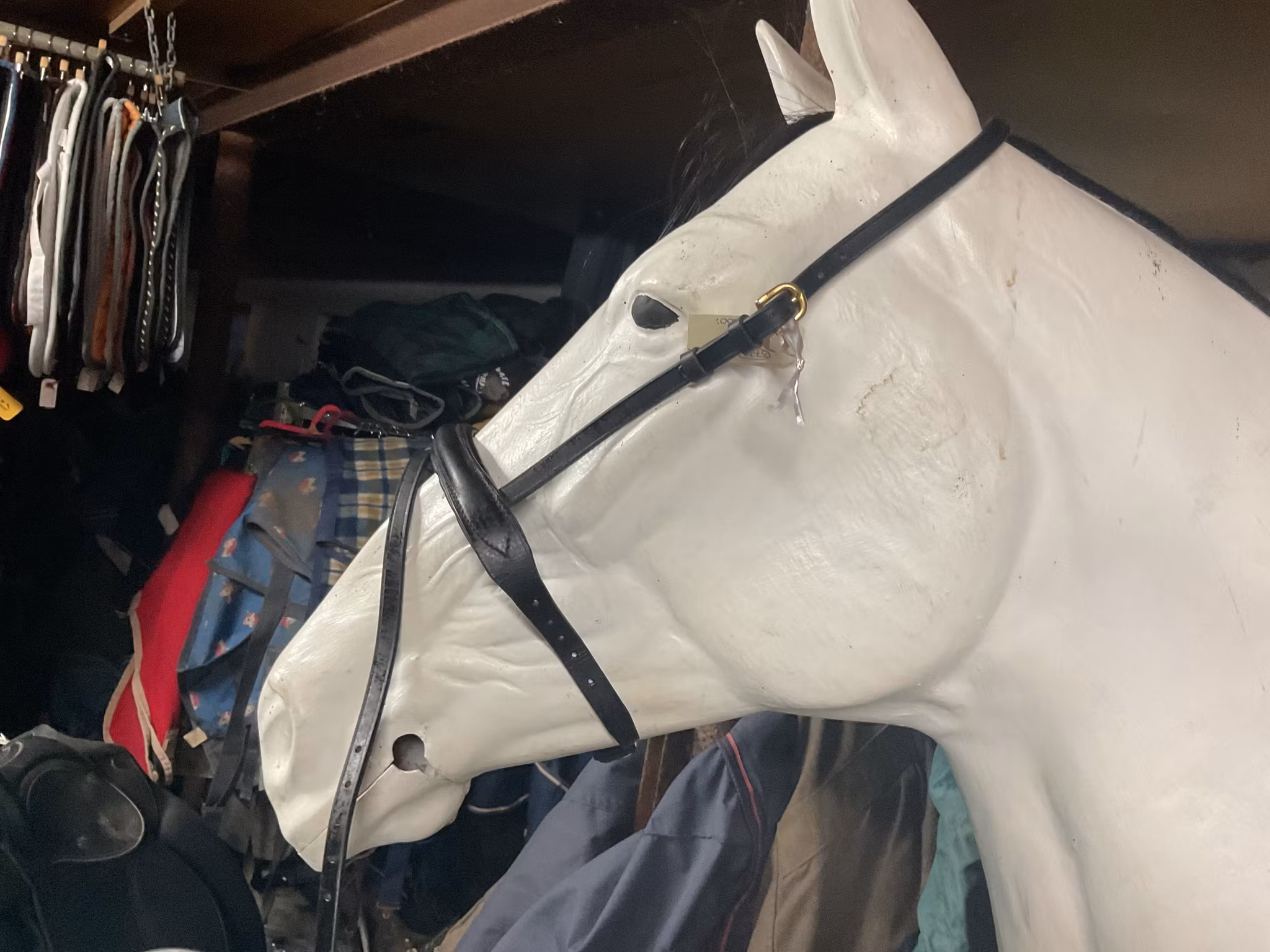 Nosgrimma,svart,p,ny