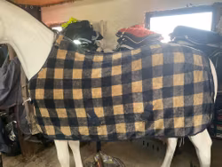Fairfield fleecetäcke 125 cm, blå/brunrutigt