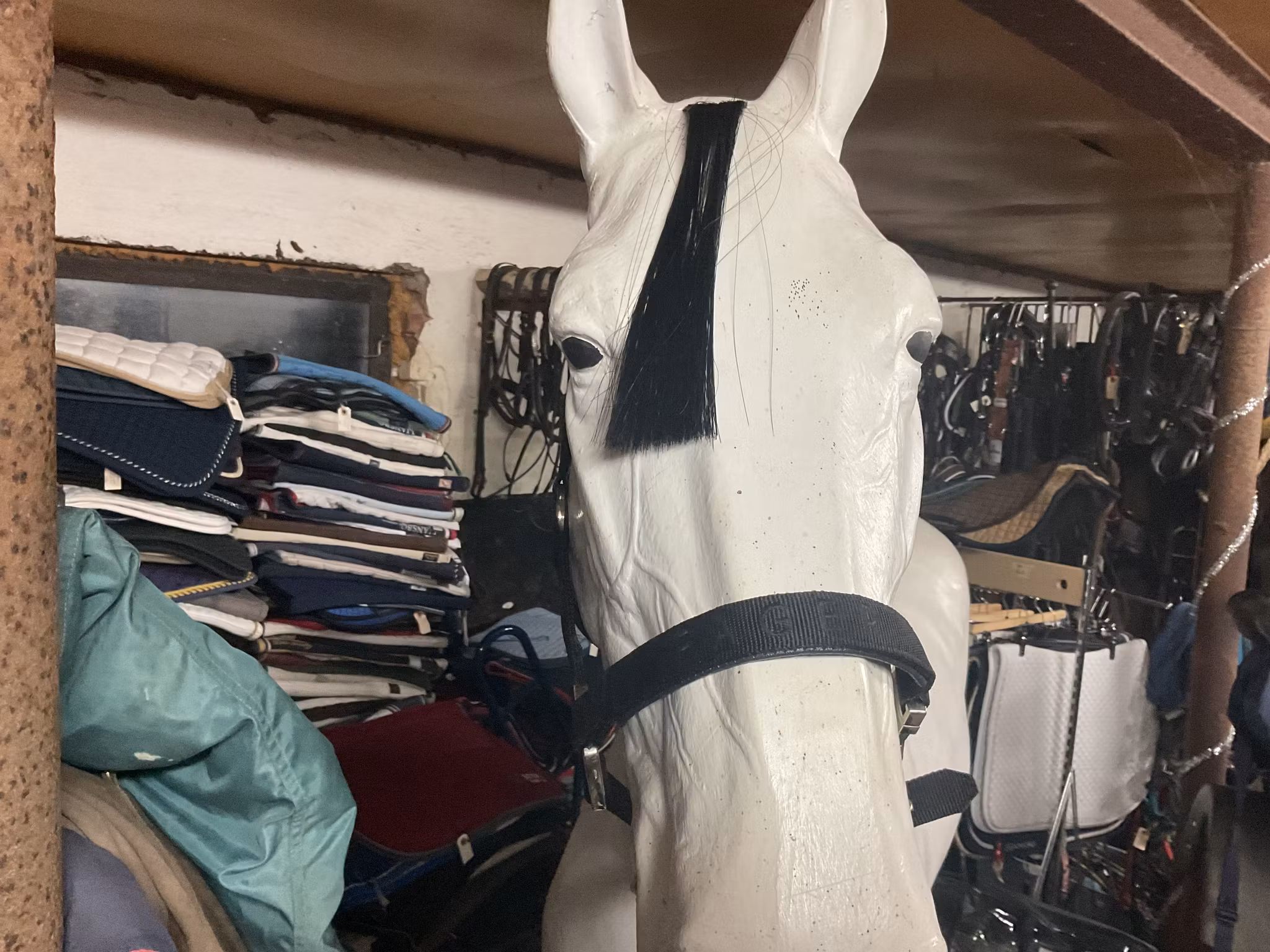 Fager grimma,svart,f