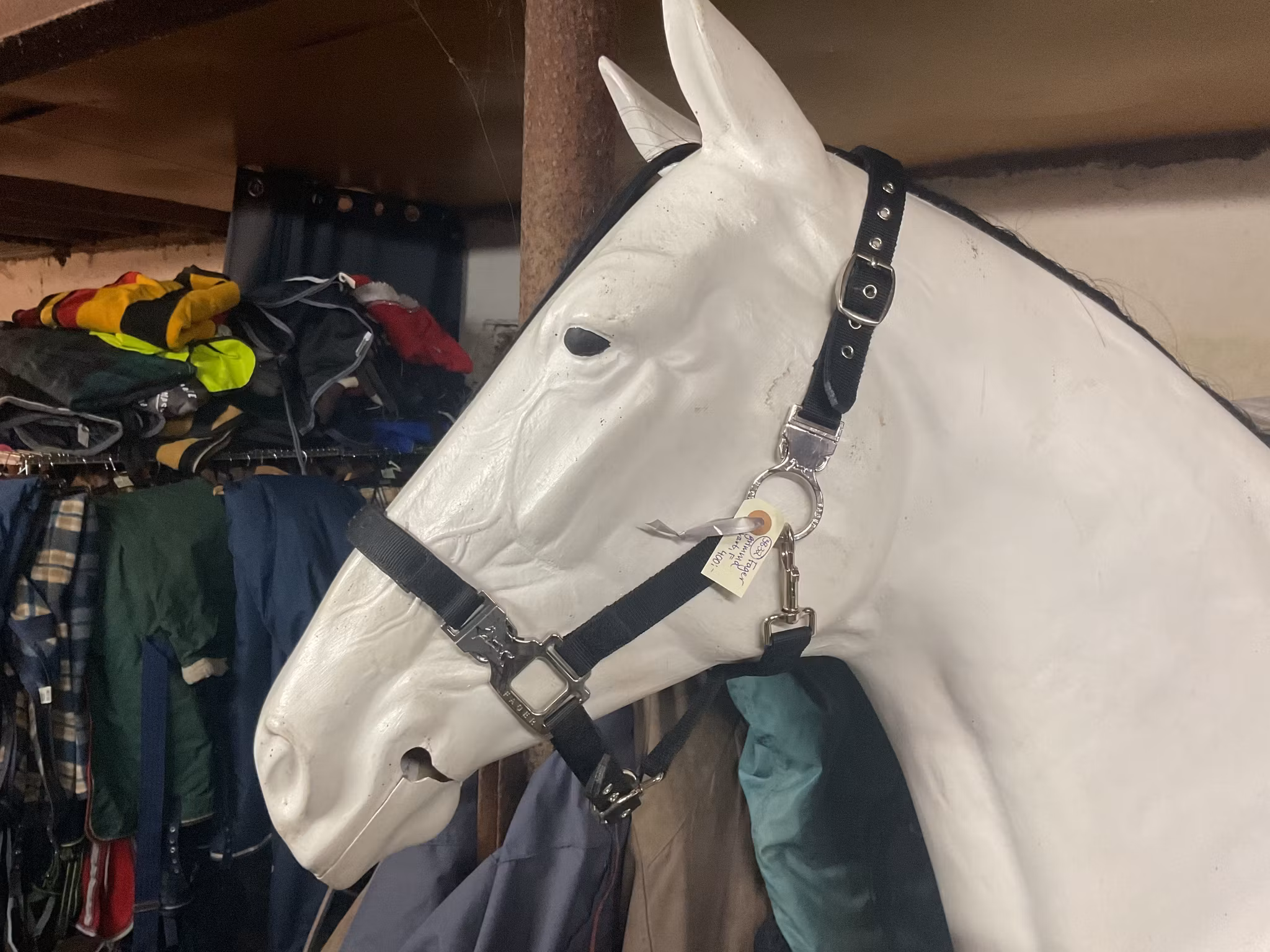 Fager grimma,svart,f