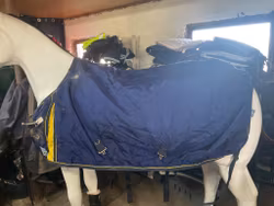 Sverigetäcket,125 cm, ca 250 gr,hål insidan vid manken,hål baktill