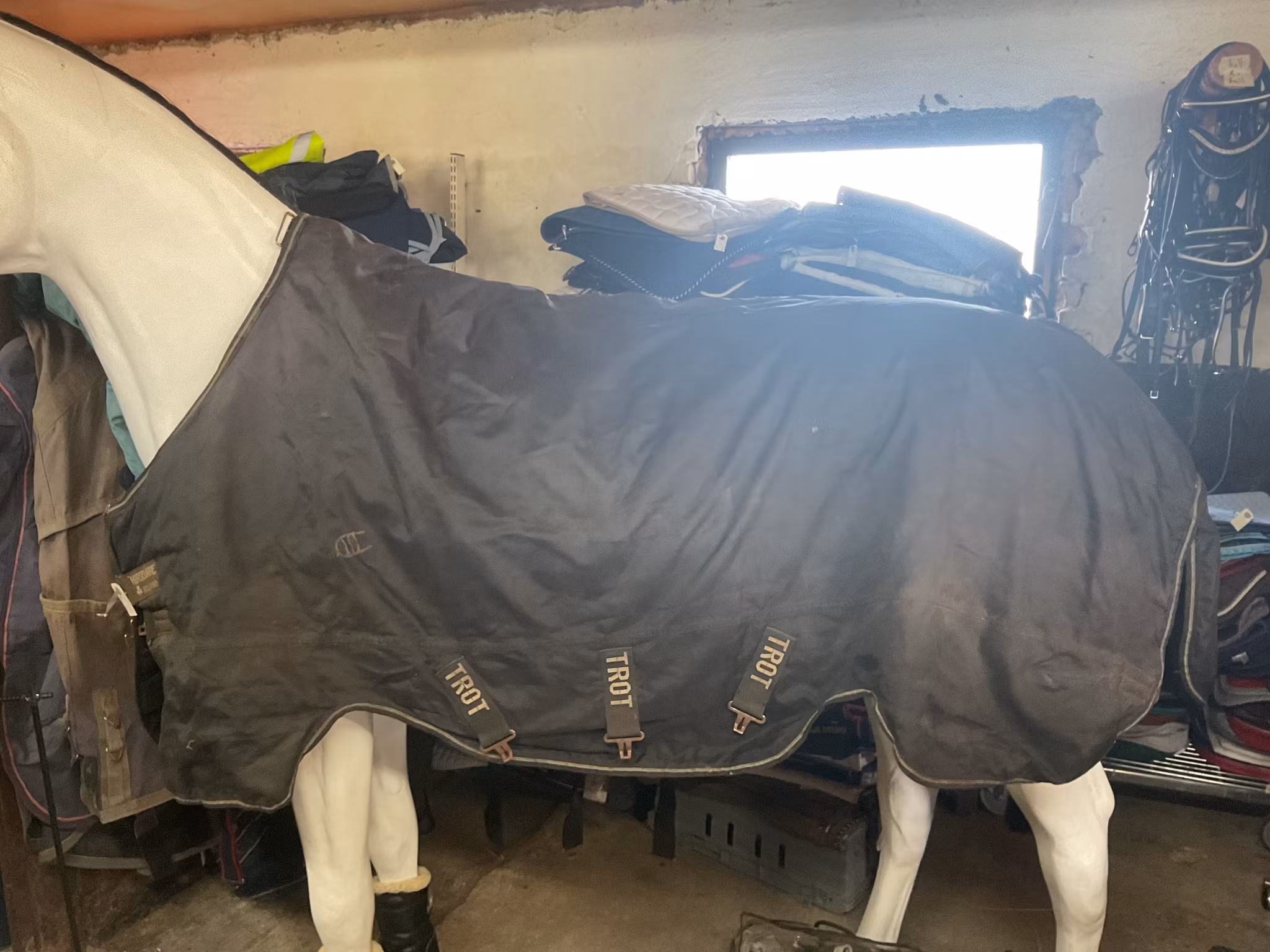 Horse wear täcke,trot, 145 cm, 300 gr, ett hål