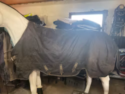 Horse wear täcke,trot, 145 cm, 300 gr, ett hål