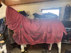 Shires täcke,fast hals,135 cm, 300 gr, ett hål