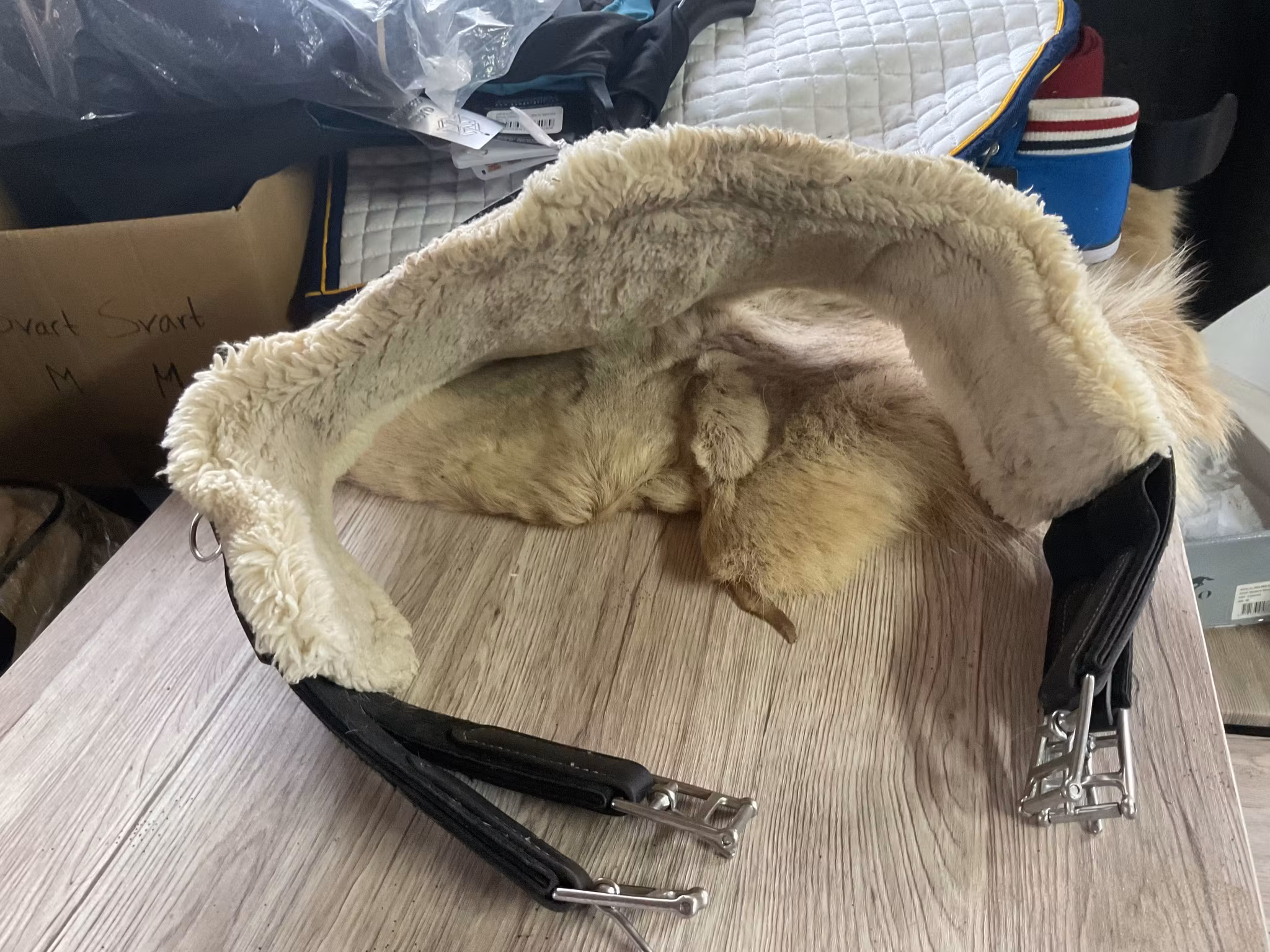 Knights sadelgjord med magplatta,svart,110 cm, avtagbart fluff
