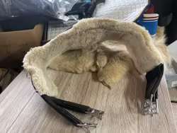Knights sadelgjord med magplatta,svart,110 cm, avtagbart fluff