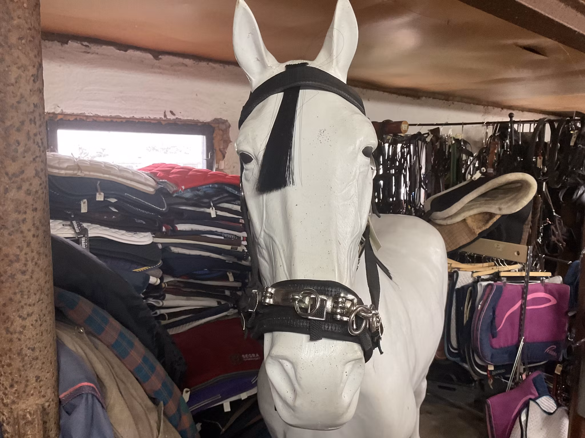 Kapson,nylon,svart,f