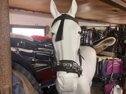 Kapson,nylon,svart,f