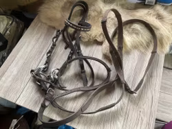Träns komplett,brunt,bett 10,5 cm,shetland/ponny
