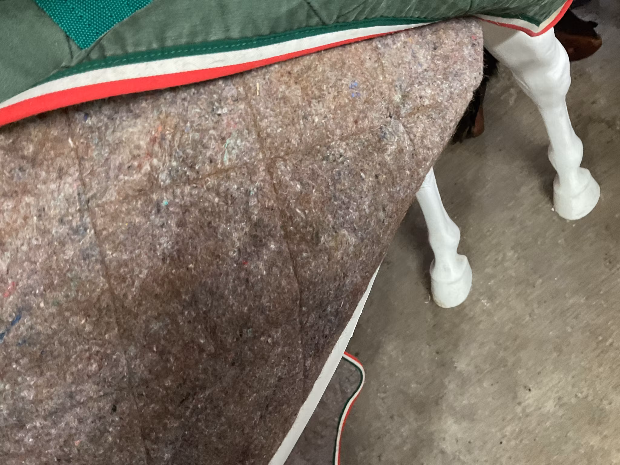Stalltäcke med bred maggjord,145 cm