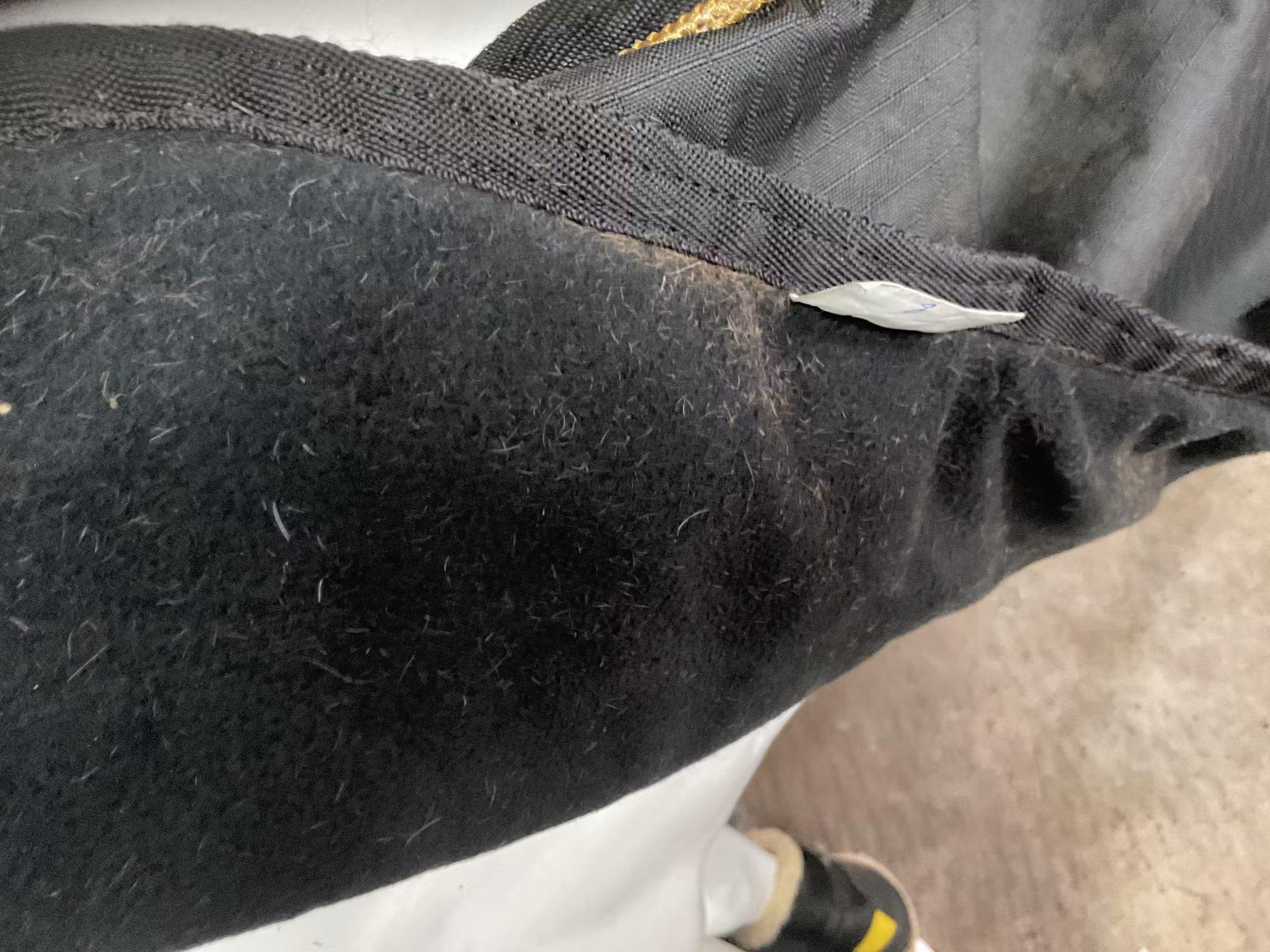 Ridtäcke,svart,fleece insidan,cob