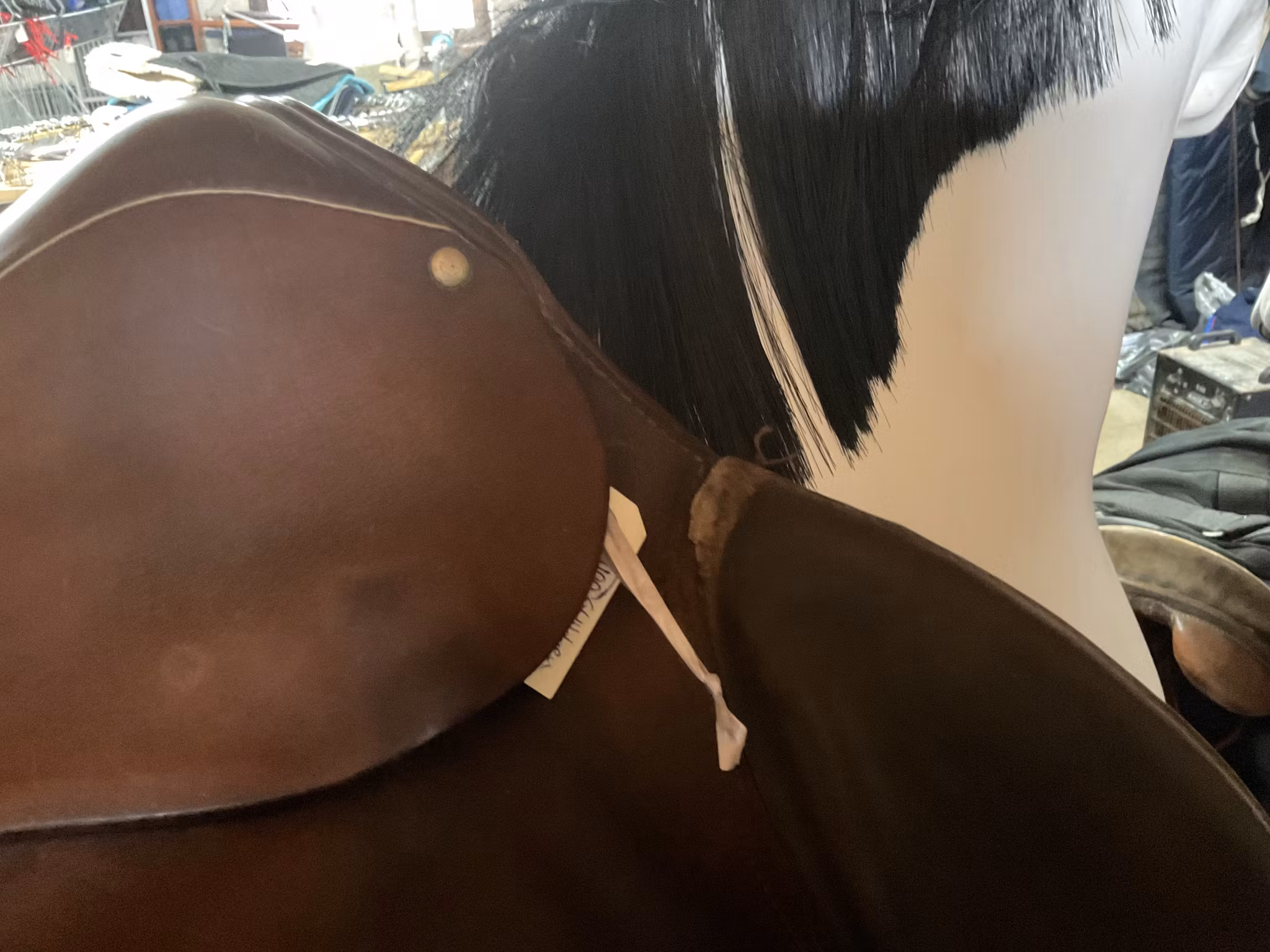 Stubben sadel,17”, 30” i bom,släppt i ena sömmen på ena kåpan